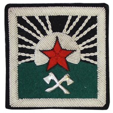 Нарукавный знак Инженерных войск Рабоче-Крестьянской Красной Армии, обр. 1920 г.